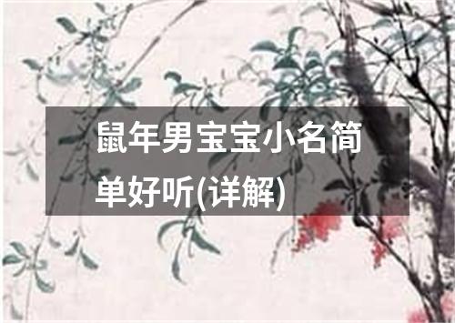鼠年男宝宝小名简单好听(详解)