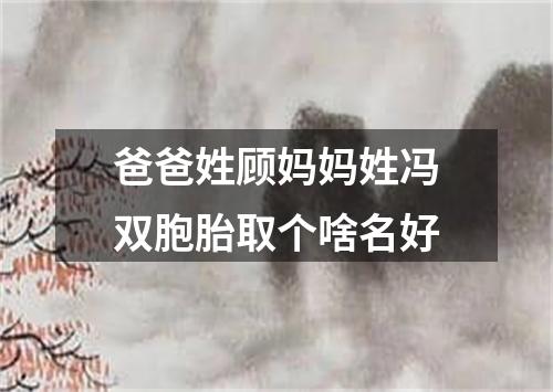 爸爸姓顾妈妈姓冯双胞胎取个啥名好