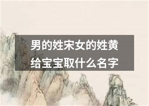 男的姓宋女的姓黄给宝宝取什么名字