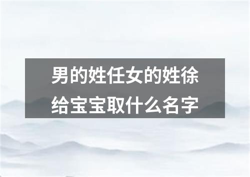 男的姓任女的姓徐给宝宝取什么名字