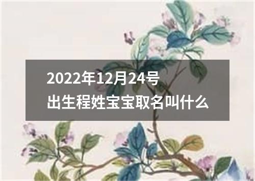 2022年12月24号出生程姓宝宝取名叫什么
