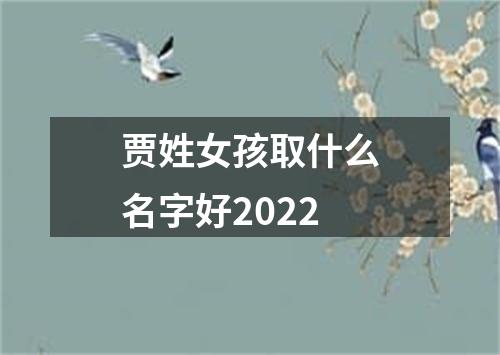 贾姓女孩取什么名字好2022