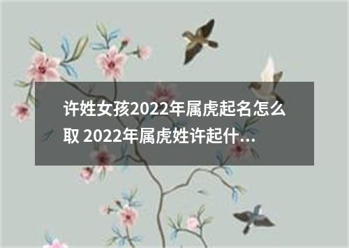 许姓女孩2022年属虎起名怎么取 2022年属虎姓许起什么名字