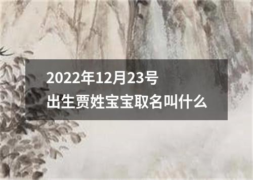 2022年12月23号出生贾姓宝宝取名叫什么