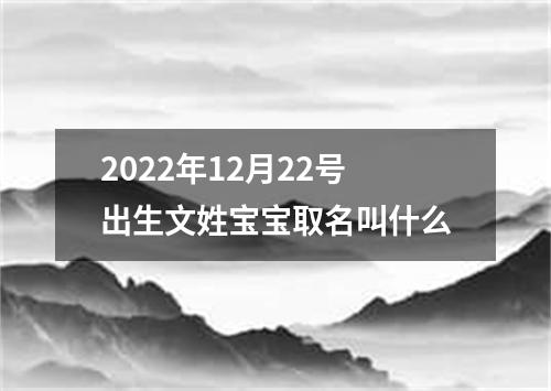 2022年12月22号出生文姓宝宝取名叫什么