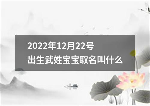 2022年12月22号出生武姓宝宝取名叫什么