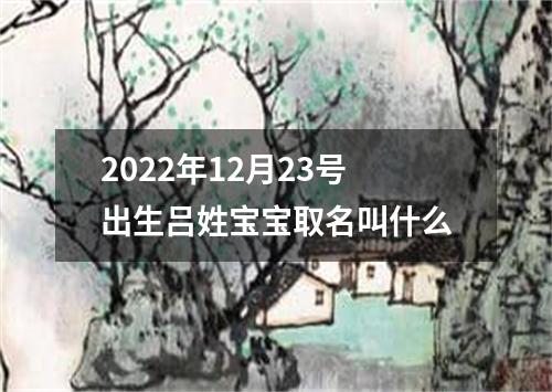 2022年12月23号出生吕姓宝宝取名叫什么