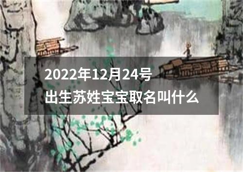 2022年12月24号出生苏姓宝宝取名叫什么