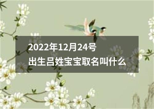 2022年12月24号出生吕姓宝宝取名叫什么
