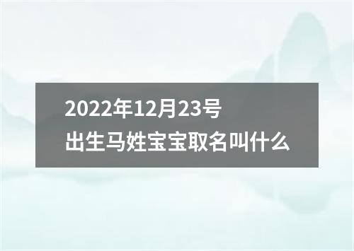 2022年12月23号出生马姓宝宝取名叫什么