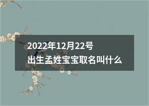 2022年12月22号出生孟姓宝宝取名叫什么