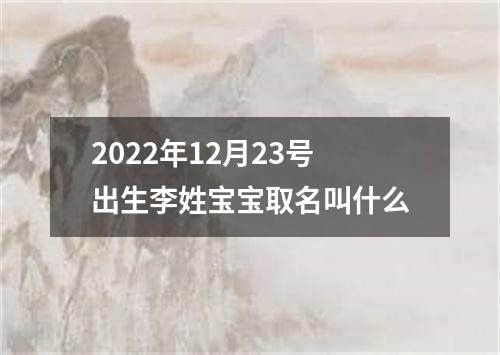 2022年12月23号出生李姓宝宝取名叫什么