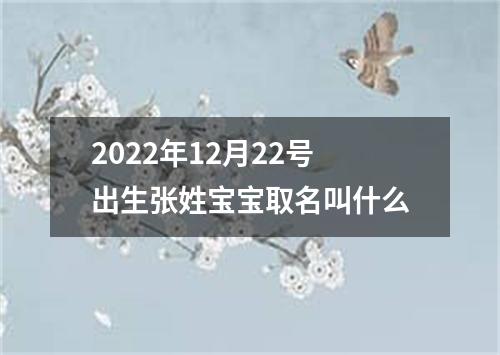 2022年12月22号出生张姓宝宝取名叫什么