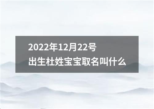 2022年12月22号出生杜姓宝宝取名叫什么
