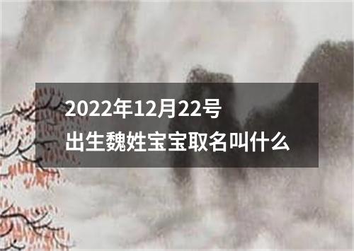 2022年12月22号出生魏姓宝宝取名叫什么