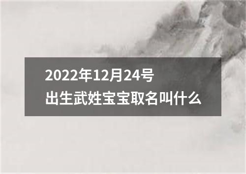 2022年12月24号出生武姓宝宝取名叫什么