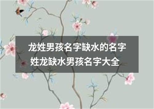 龙姓男孩名字缺水的名字 姓龙缺水男孩名字大全