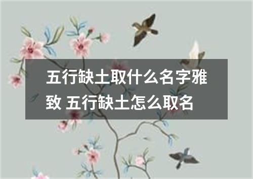 五行缺土取什么名字雅致 五行缺土怎么取名