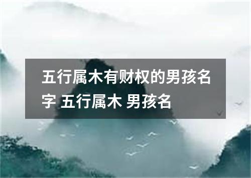 五行属木有财权的男孩名字 五行属木 男孩名