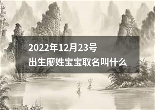 2022年12月23号出生廖姓宝宝取名叫什么