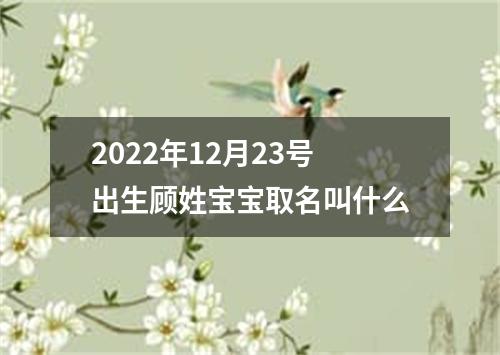2022年12月23号出生顾姓宝宝取名叫什么