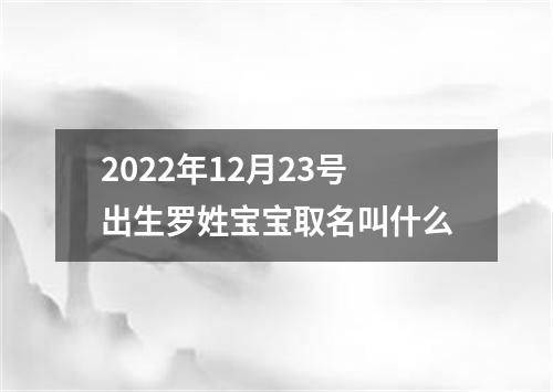 2022年12月23号出生罗姓宝宝取名叫什么