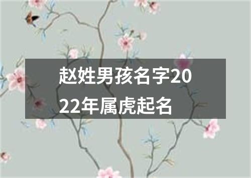 赵姓男孩名字2022年属虎起名