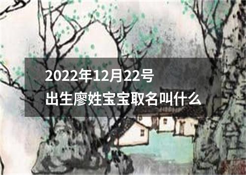 2022年12月22号出生廖姓宝宝取名叫什么