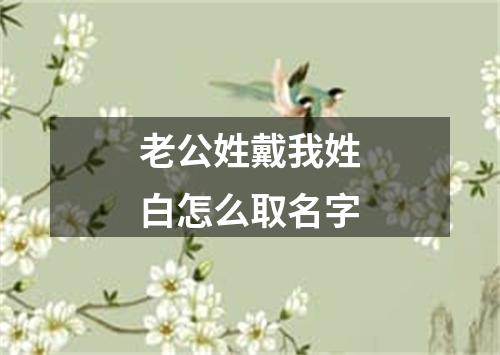 老公姓戴我姓白怎么取名字