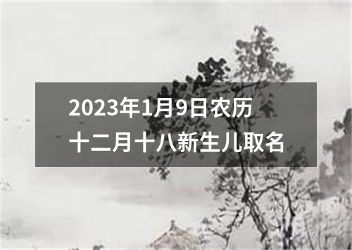 2023年1月9日农历十二月十八新生儿取名