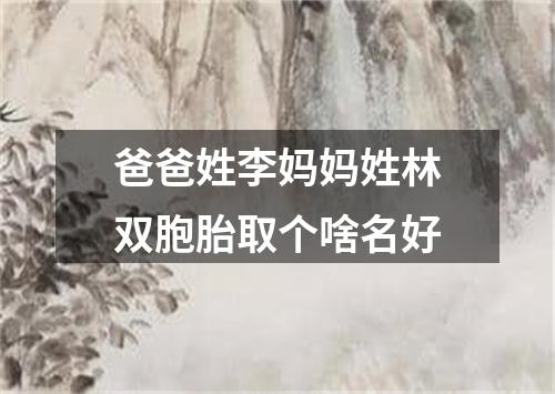 爸爸姓李妈妈姓林双胞胎取个啥名好