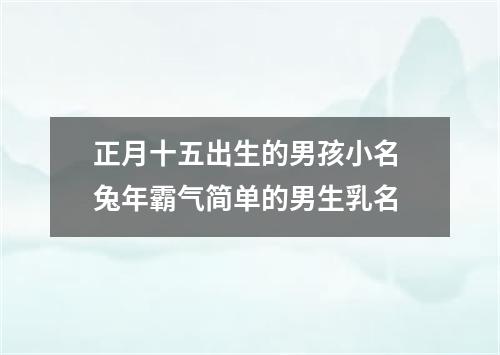 正月十五出生的男孩小名 兔年霸气简单的男生乳名