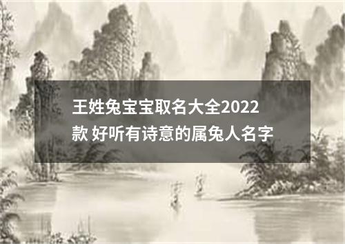 王姓兔宝宝取名大全2022款 好听有诗意的属兔人名字