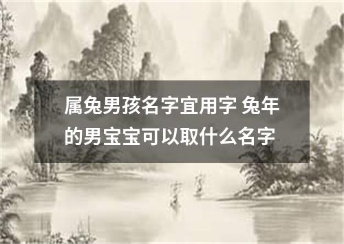 属兔男孩名字宜用字 兔年的男宝宝可以取什么名字