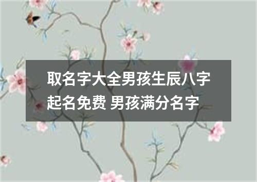 取名字大全男孩生辰八字起名免费 男孩满分名字