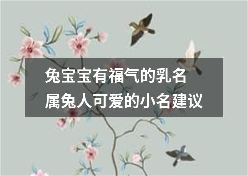 兔宝宝有福气的乳名 属兔人可爱的小名建议