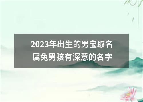 2023年出生的男宝取名 属兔男孩有深意的名字