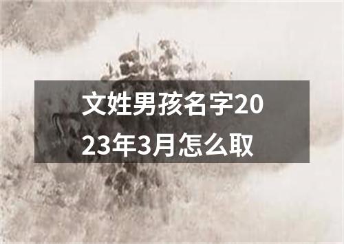 文姓男孩名字2023年3月怎么取