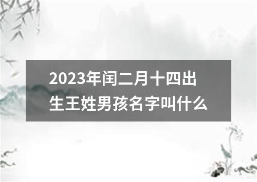 2023年闰二月十四出生王姓男孩名字叫什么