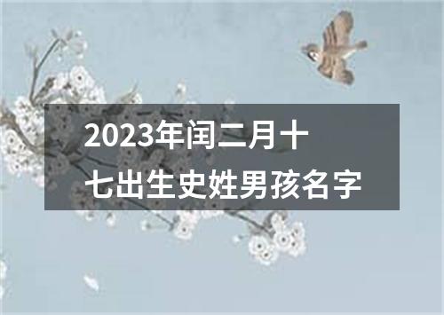 2023年闰二月十七出生史姓男孩名字