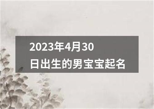 2023年4月30日出生的男宝宝起名