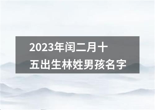 2023年闰二月十五出生林姓男孩名字