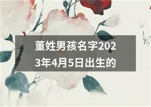 董姓男孩名字2023年4月5日出生的