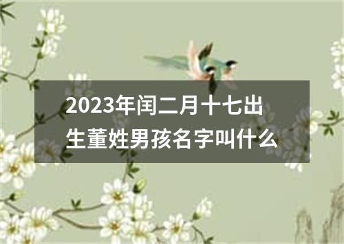 2023年闰二月十七出生董姓男孩名字叫什么