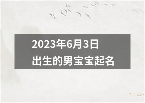2023年6月3日出生的男宝宝起名