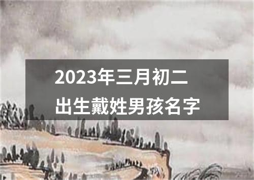 2023年三月初二出生戴姓男孩名字