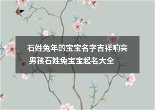 石姓兔年的宝宝名字吉祥响亮 男孩石姓兔宝宝起名大全