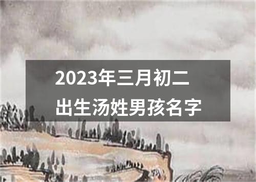 2023年三月初二出生汤姓男孩名字