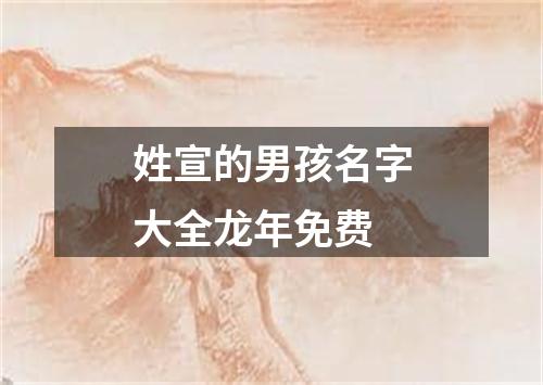 姓宣的男孩名字大全龙年免费