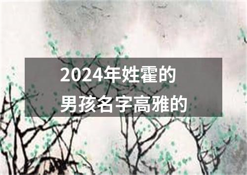 2024年姓霍的男孩名字高雅的